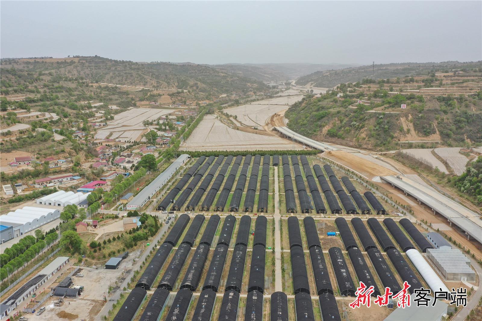 【強(qiáng)信心 看發(fā)展·高質(zhì)量發(fā)展調(diào)研行】奏響農(nóng)業(yè)可持續(xù)發(fā)展新樂(lè)章——慶陽(yáng)市 “三元雙向” 循環(huán)農(nóng)業(yè)模式觀察