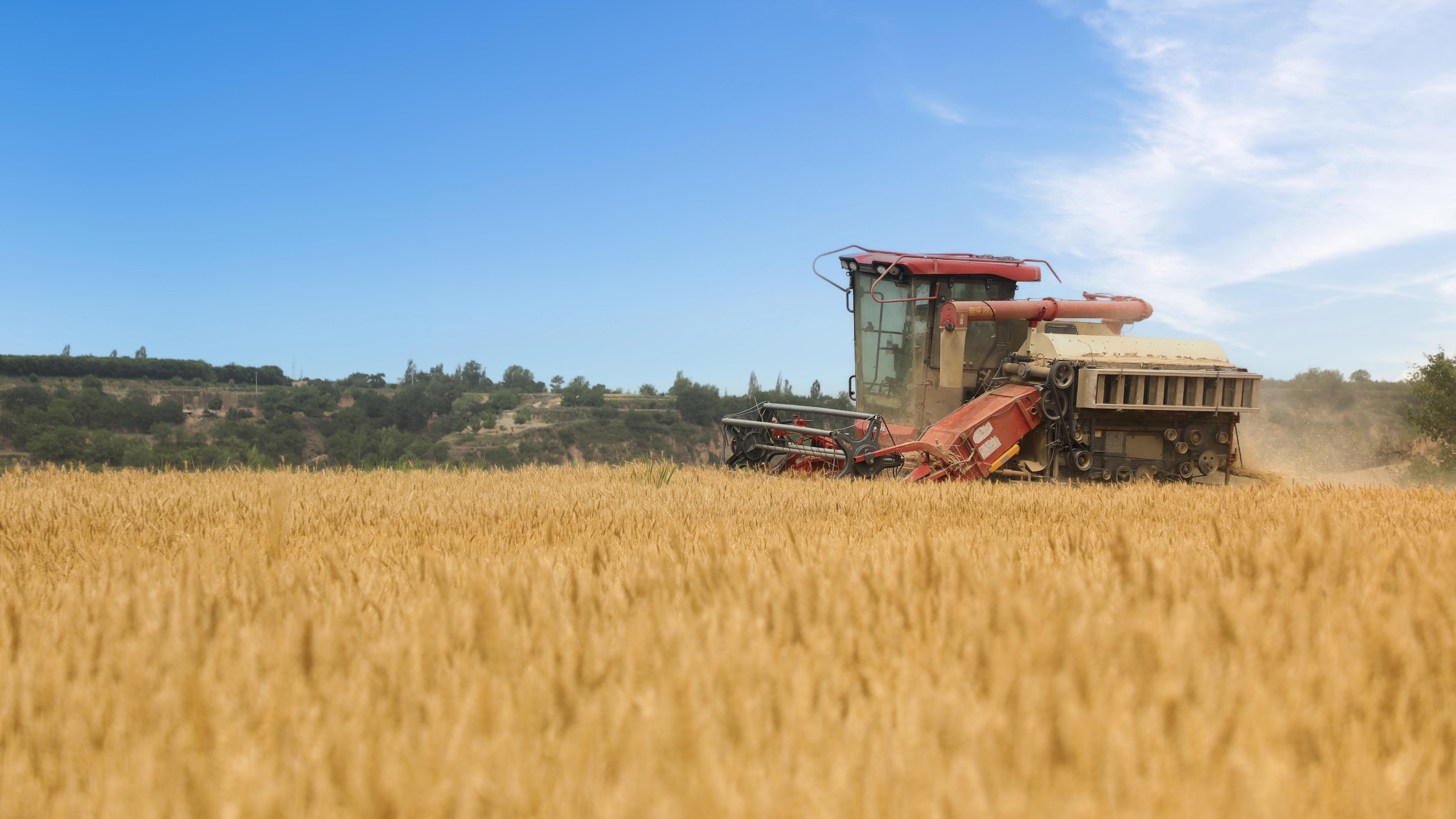 【攝影報(bào)道】麥浪滾滾 華池縣冬小麥?zhǔn)崭蠲?>

                        <div   id=