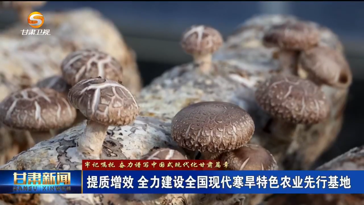 （牢記囑托 奮力譜寫中國式現(xiàn)代化甘肅篇章）提質(zhì)增效 全力建設(shè)全國現(xiàn)代寒旱特色農(nóng)業(yè)先行基地