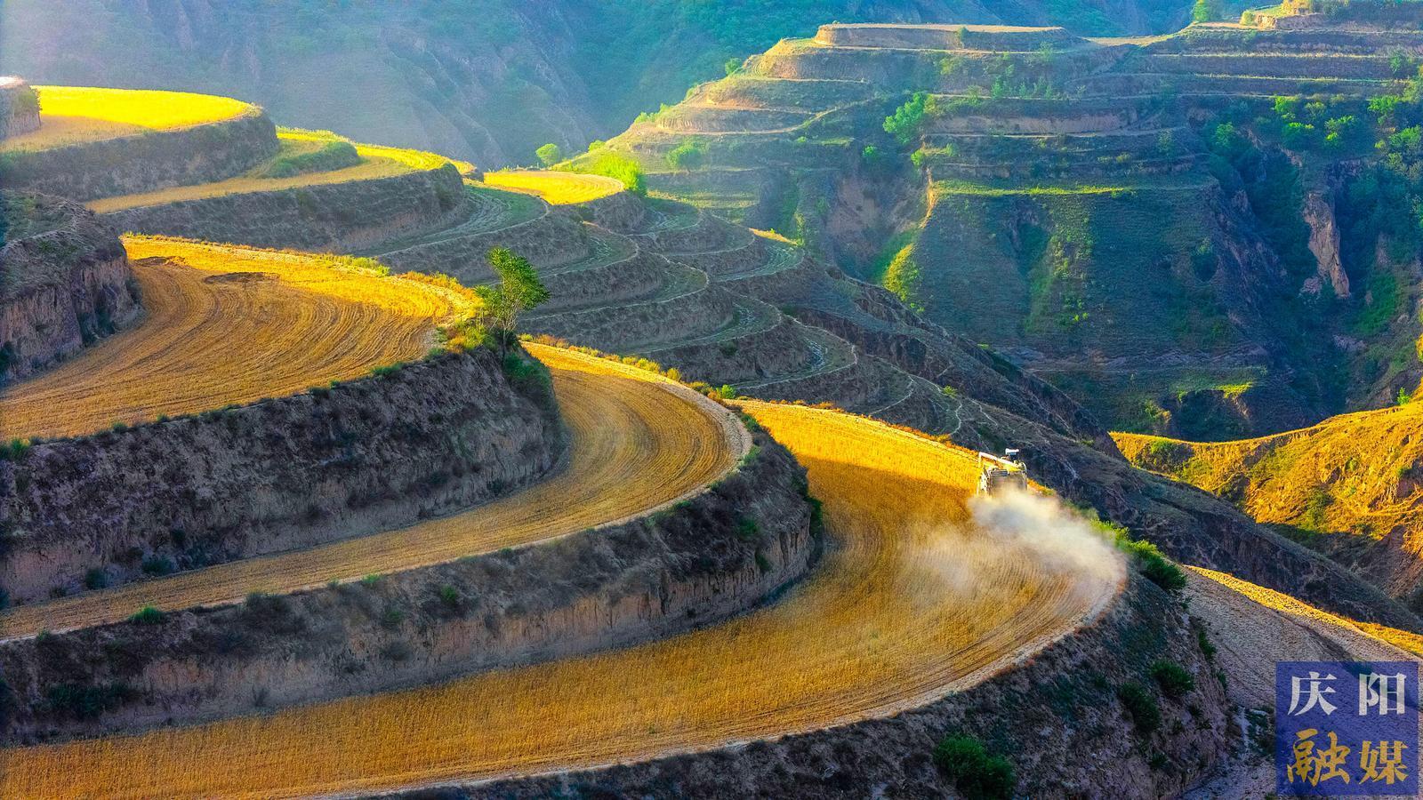 【攝影專題】金色慶陽收麥忙 農(nóng)機農(nóng)技保歸倉