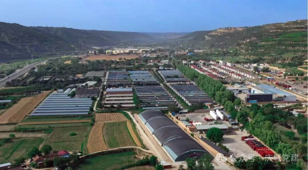 玄馬鎮(zhèn)黨委：“三鏈”聚合激活村級集體經濟“紅色引擎”