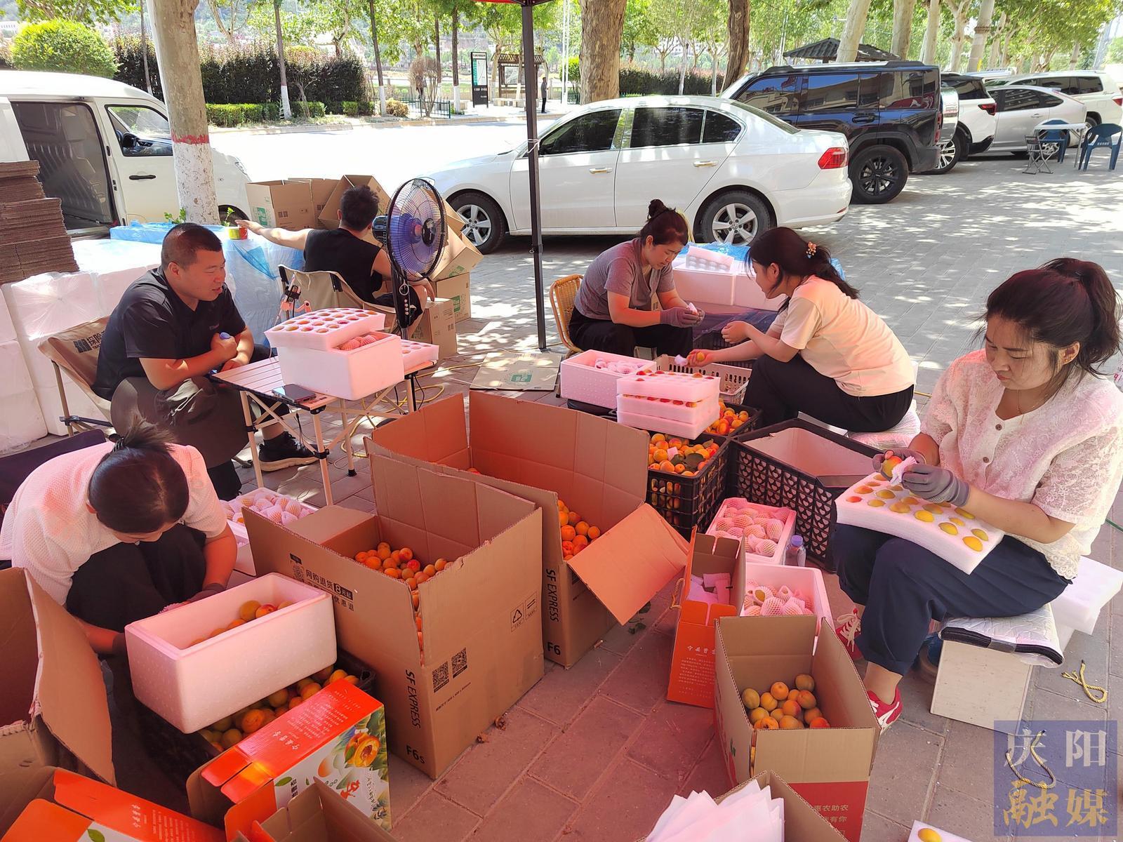 【攝影報道】寧縣曹杏搭上電商“順風(fēng)車”