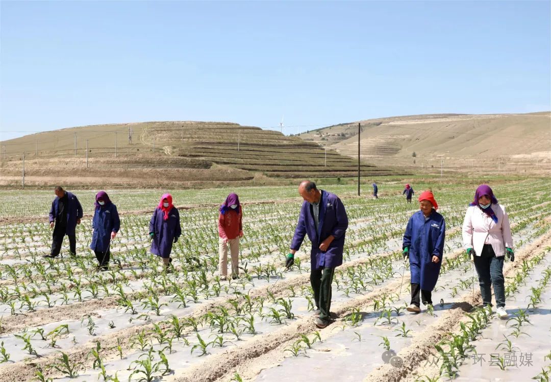良田“解渴”民憂釋——環(huán)縣以“三抓三促”行動(dòng)全力抗旱搶墑?chuàng)尫N