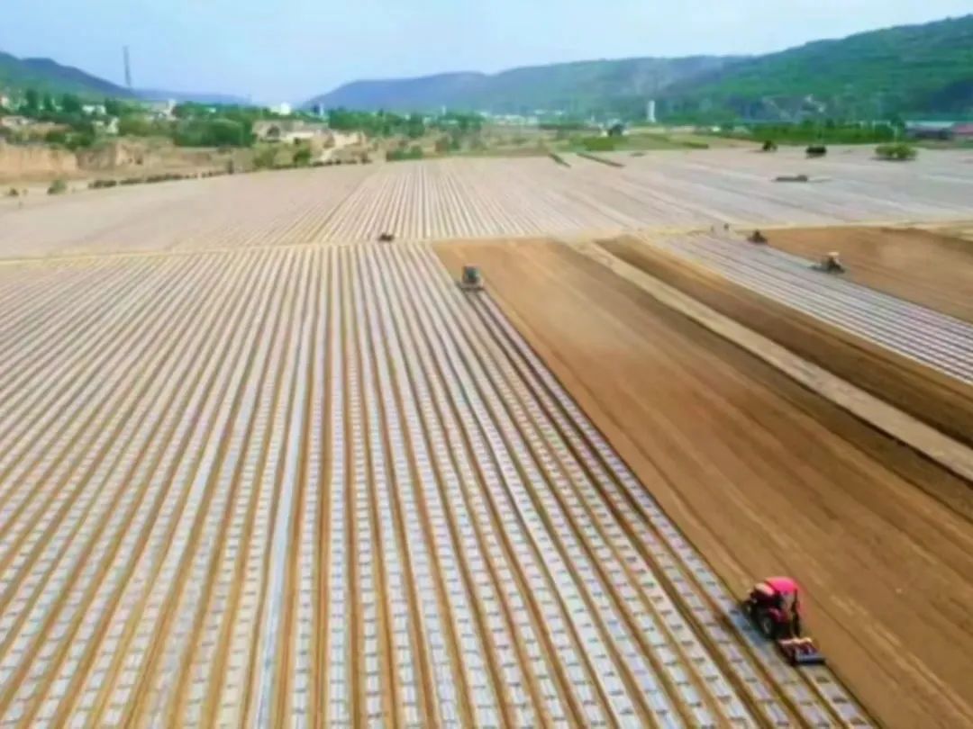 卅鋪鎮(zhèn):書寫文明實踐新篇章 繪就幸福鄉(xiāng)村新畫卷