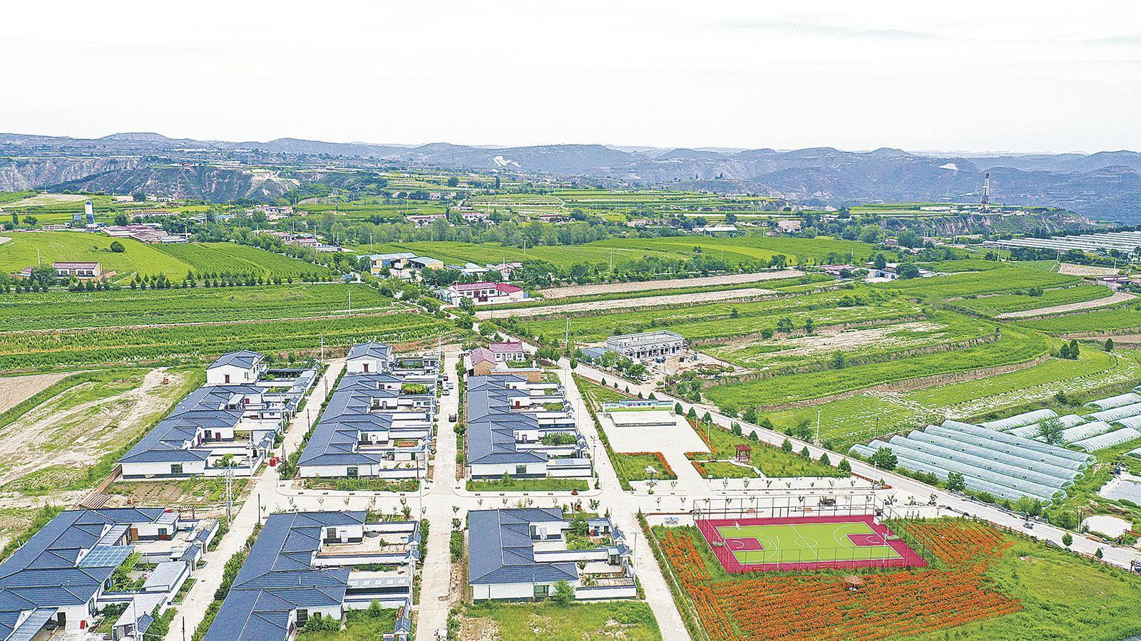 黃土旱塬添新綠  —— 環(huán)縣“三北”工程加速繪就生態(tài)新畫(huà)卷