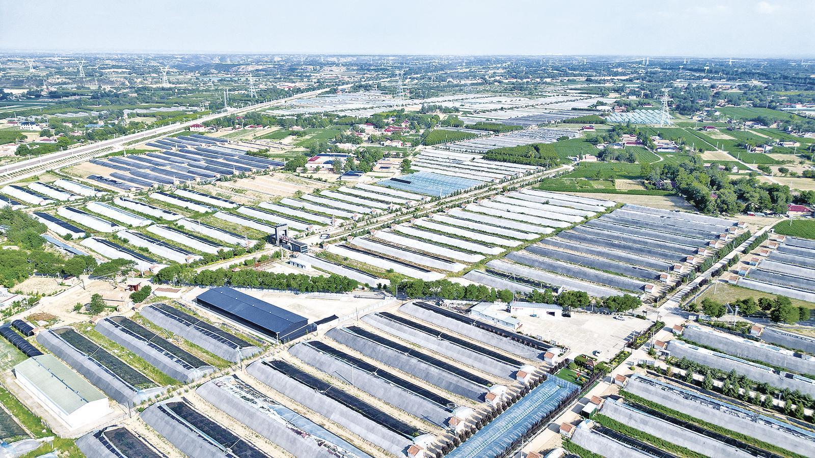 【隴東報(bào)·鄉(xiāng)村振興】慶陽(yáng)：“新農(nóng)人”變“興農(nóng)人”領(lǐng)航產(chǎn)業(yè)升級(jí)，激活鄉(xiāng)村振興“動(dòng)力源”！