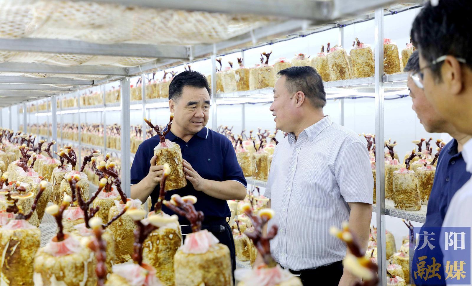 黃澤元在寧縣調(diào)研時(shí)強(qiáng)調(diào) 聚焦特色優(yōu)勢推進(jìn)農(nóng)業(yè)產(chǎn)業(yè)轉(zhuǎn)型升級 更好促進(jìn)產(chǎn)業(yè)增值企業(yè)增效群眾增收