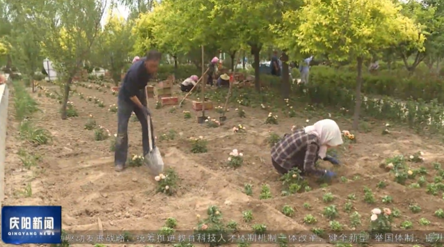 《慶陽新聞》2025年7月17日