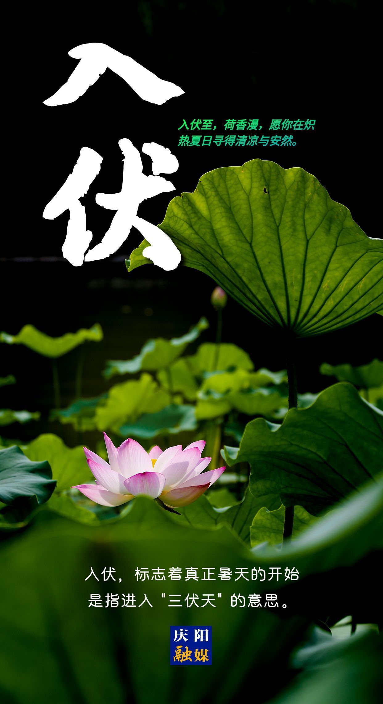 【微海報】今日入伏丨愿你安然度夏！