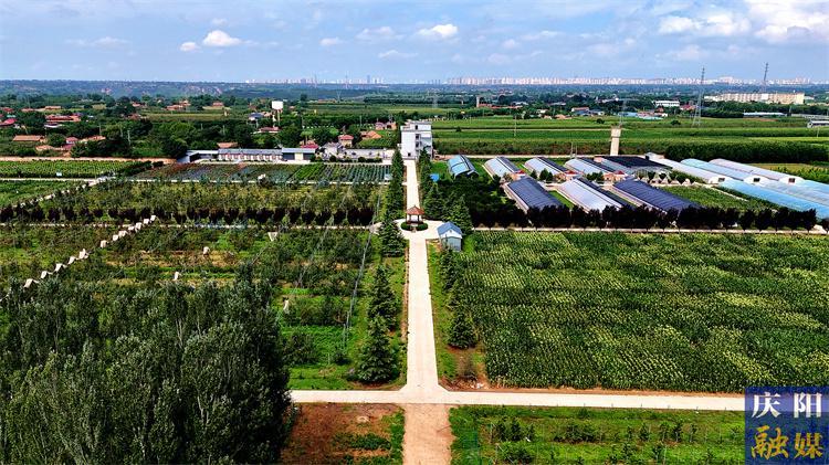 【攝影報道】不負夏日好時光  農(nóng)耕研學(xué)助成長