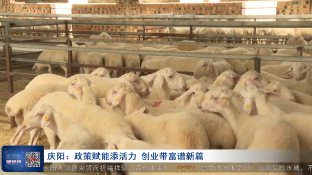 《慶陽新聞》2025年7月21日