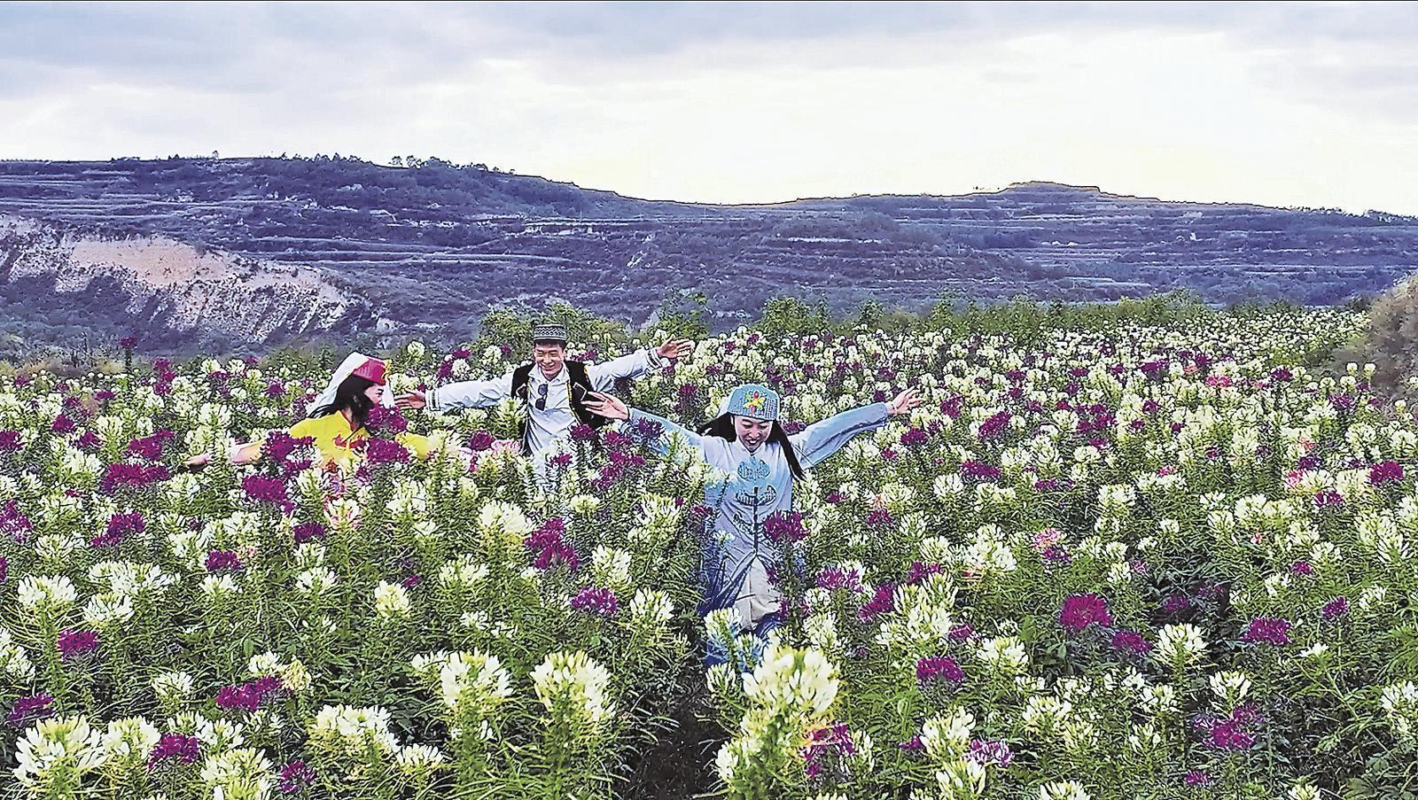 正寧縣五頃塬回族鄉(xiāng)龍咀子村融合促蝶變 風景變“錢景”