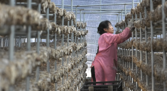 合水：招商引資結(jié)碩果 助力縣域經(jīng)濟高質(zhì)量發(fā)展