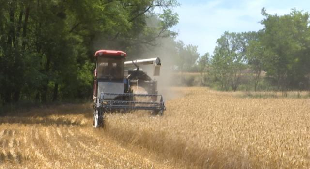 合水縣上半年發(fā)放農(nóng)機(jī)購置補(bǔ)貼資金154.3萬元