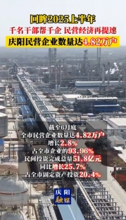 【回眸2025上半年】慶陽市上半年民營企業(yè)數(shù)量達4.82萬戶、增長2.8%，占全市企業(yè)的93.96%；民間投資完成總量51.8億元、同比增長25.7%，占全市固定資產(chǎn)投資 20.4%