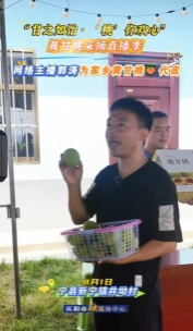 “甘之如飴‘桃’你歡心”黃甘桃采摘直播季｜網(wǎng)絡(luò)主播郭濤為家鄉(xiāng)黃甘桃代言，歡迎大家來寧縣采摘黃甘桃