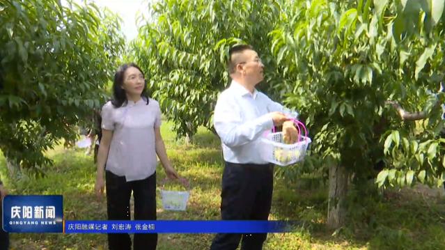 《慶陽(yáng)新聞》2025年8月2日