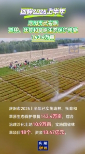 【回眸2025上半年】慶陽(yáng)市上半年已實(shí)施造林、撫育和草原生態(tài)保護(hù)修復(fù)143.4萬畝