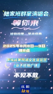 8月8日至9日每晚8點，陸家班群星演唱會等您來！