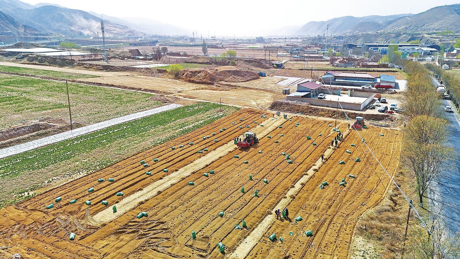 《隴東報》特刊·鄉(xiāng)村振興︱基層治理、產(chǎn)業(yè)鋪路......慶陽打好“組合拳”鋪就振興路