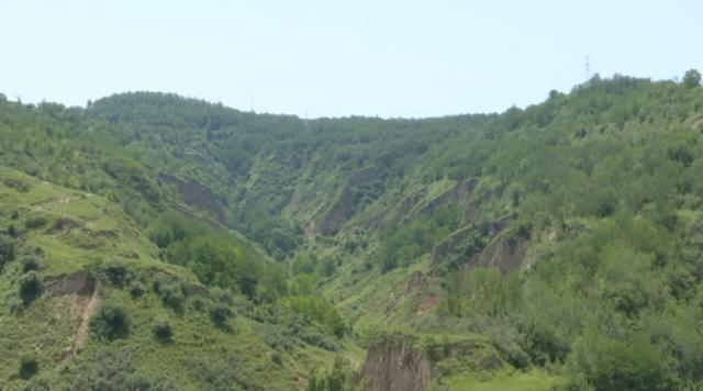 合水：以“兩山”理論為引領(lǐng) 譜寫生態(tài)與經(jīng)濟協(xié)同發(fā)展新篇章