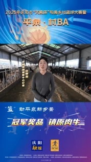 “籃”動(dòng)平泉新鄉(xiāng)景｜大揭秘！“平泉·村BA”冠軍獎(jiǎng)品來(lái)啦！鎮(zhèn)原肉牛你確定能牽回家嗎
