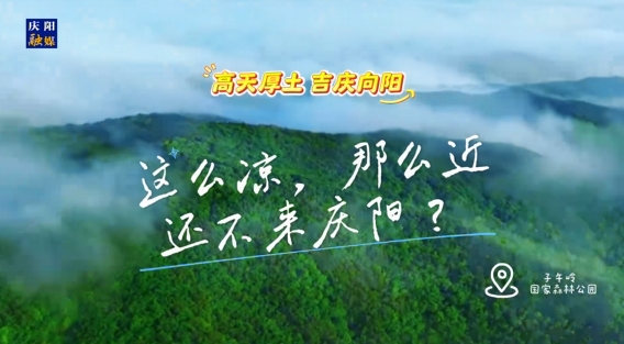 這么涼，那么近，還不來慶陽 ？——“天然氧吧”子午嶺國家森林公園歡迎您來！
