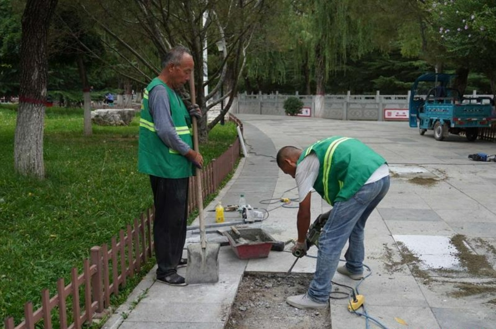 【深入開展城市管理提質(zhì)年行動(dòng)】西峰區(qū)園林局：精細(xì)養(yǎng)護(hù)擦亮城市“生態(tài)客廳”文明底色