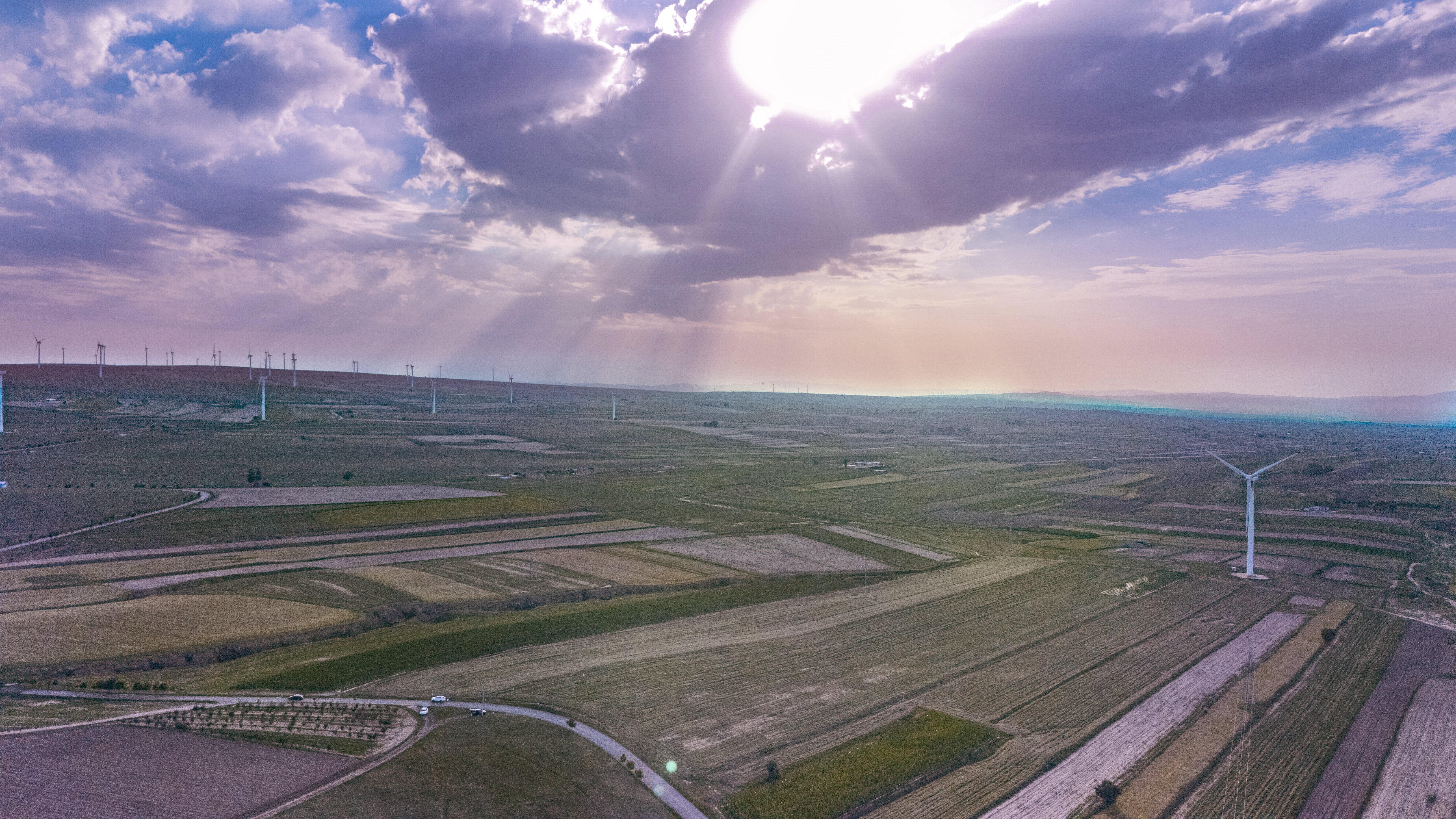 環(huán)縣：45萬畝蕎麥花開出豐收景