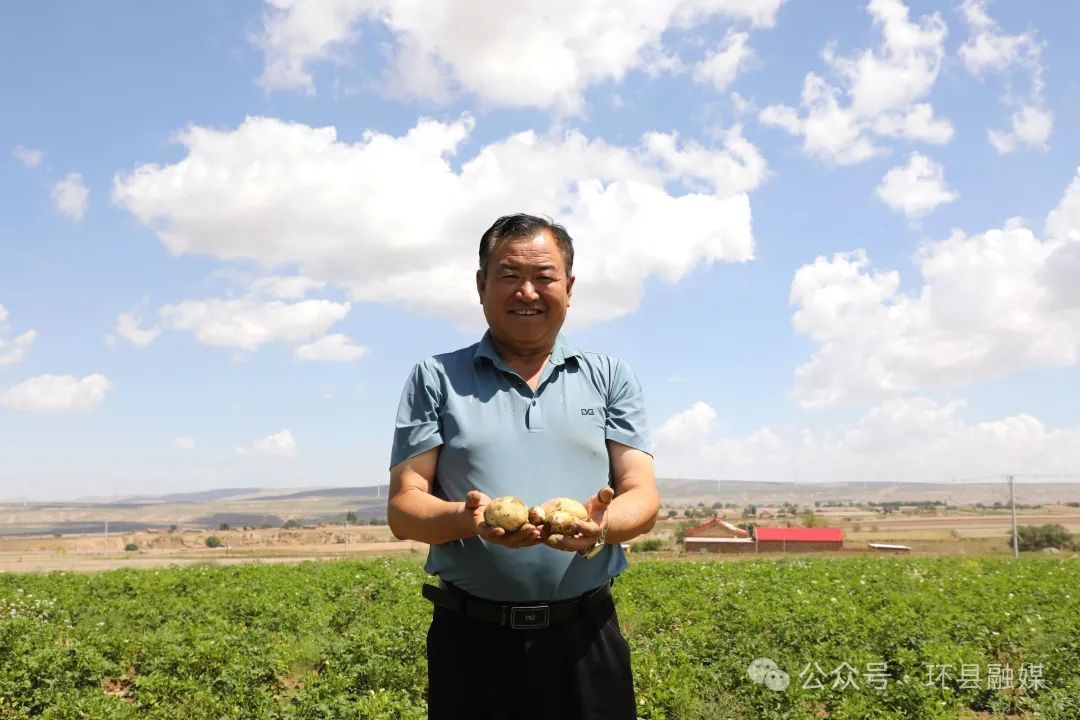 環(huán)縣：30萬(wàn)畝馬鈴薯管護(hù)忙 豐收有“薯”光