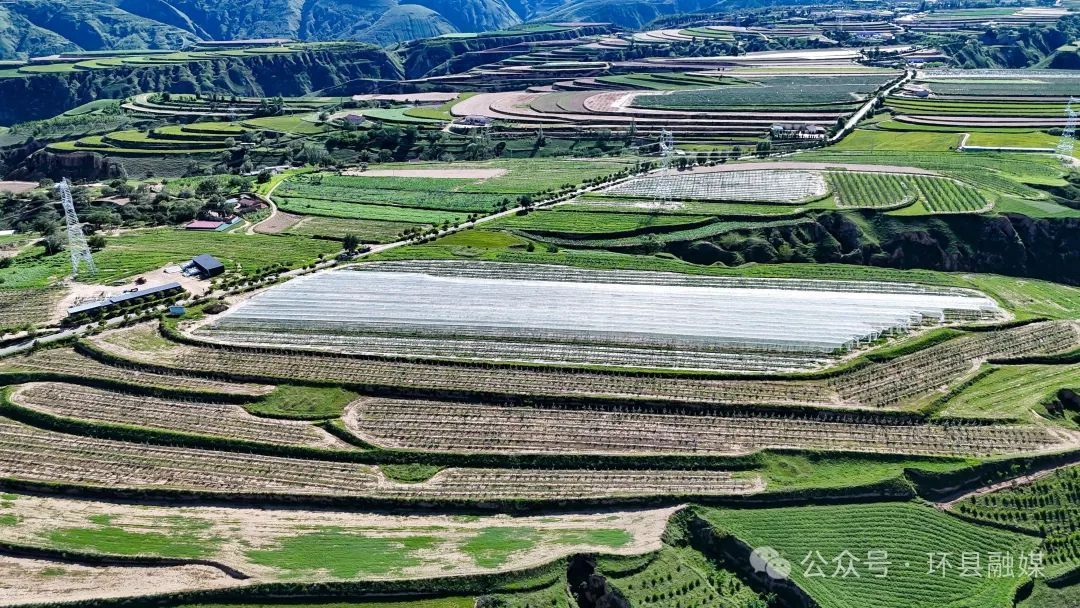 環(huán)縣環(huán)城鎮(zhèn)：金秋沃土豐收景 特色產(chǎn)業(yè)富農(nóng)家