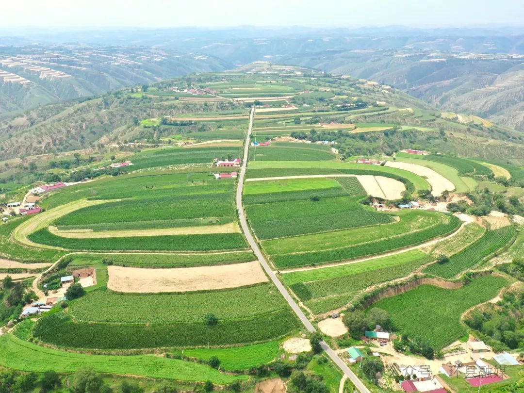 環(huán)縣多元產(chǎn)業(yè)齊發(fā)力 旱塬繪豐景