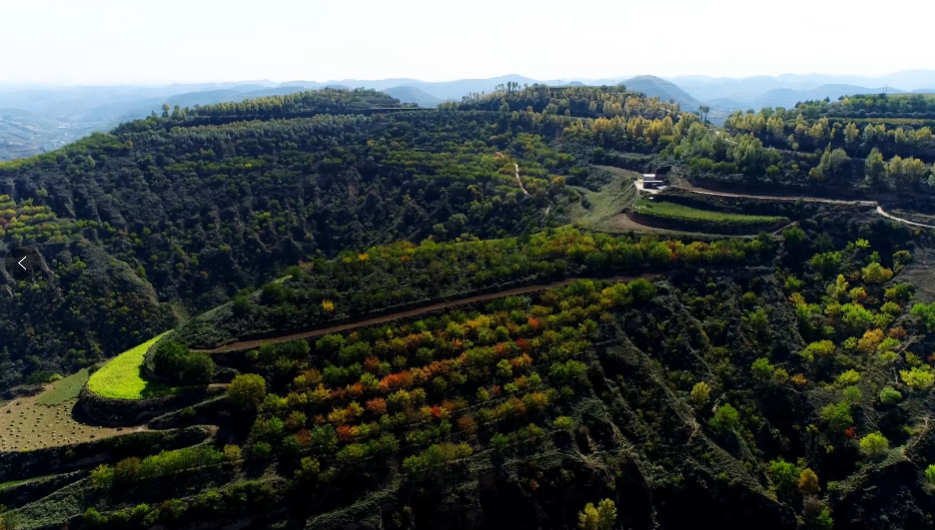 一點(diǎn)慶陽 | 漫步八珠塬（文/鞏曉鳴 誦/宋飛）