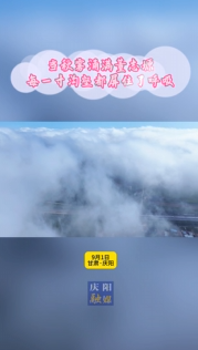 當(dāng)秋霧涌滿董志塬，每一寸溝壑都屏住了呼吸