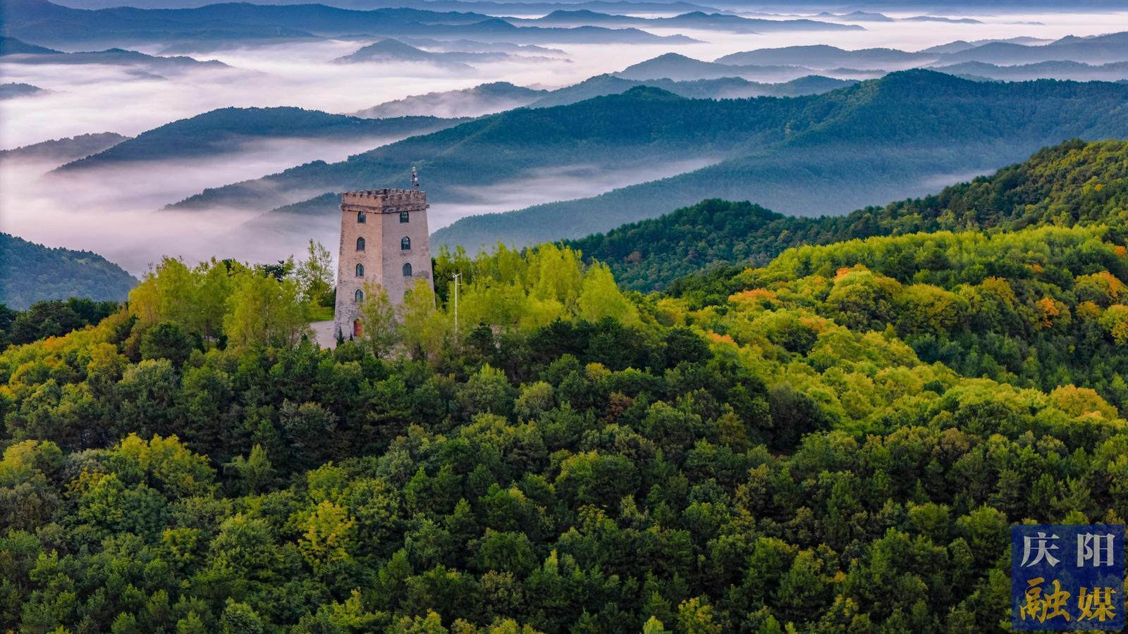 【攝影報(bào)道】子午嶺初秋晨韻
