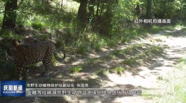 《慶陽新聞》2025年9月7日