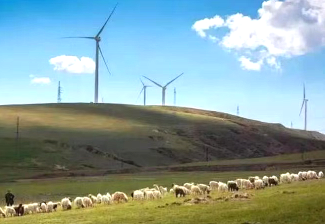 “一點慶陽”采風(fēng)作品選 | 草原之戀（孫鴻岐)