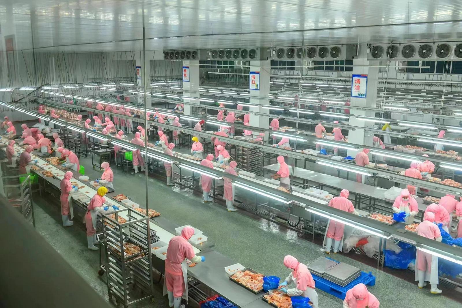 【挑大梁 作標(biāo)桿·縣區(qū)高質(zhì)量發(fā)展巡禮】競(jìng)相發(fā)展煥新彩 原州大地譜新篇——鎮(zhèn)原縣推動(dòng)高質(zhì)量發(fā)展的多元實(shí)踐