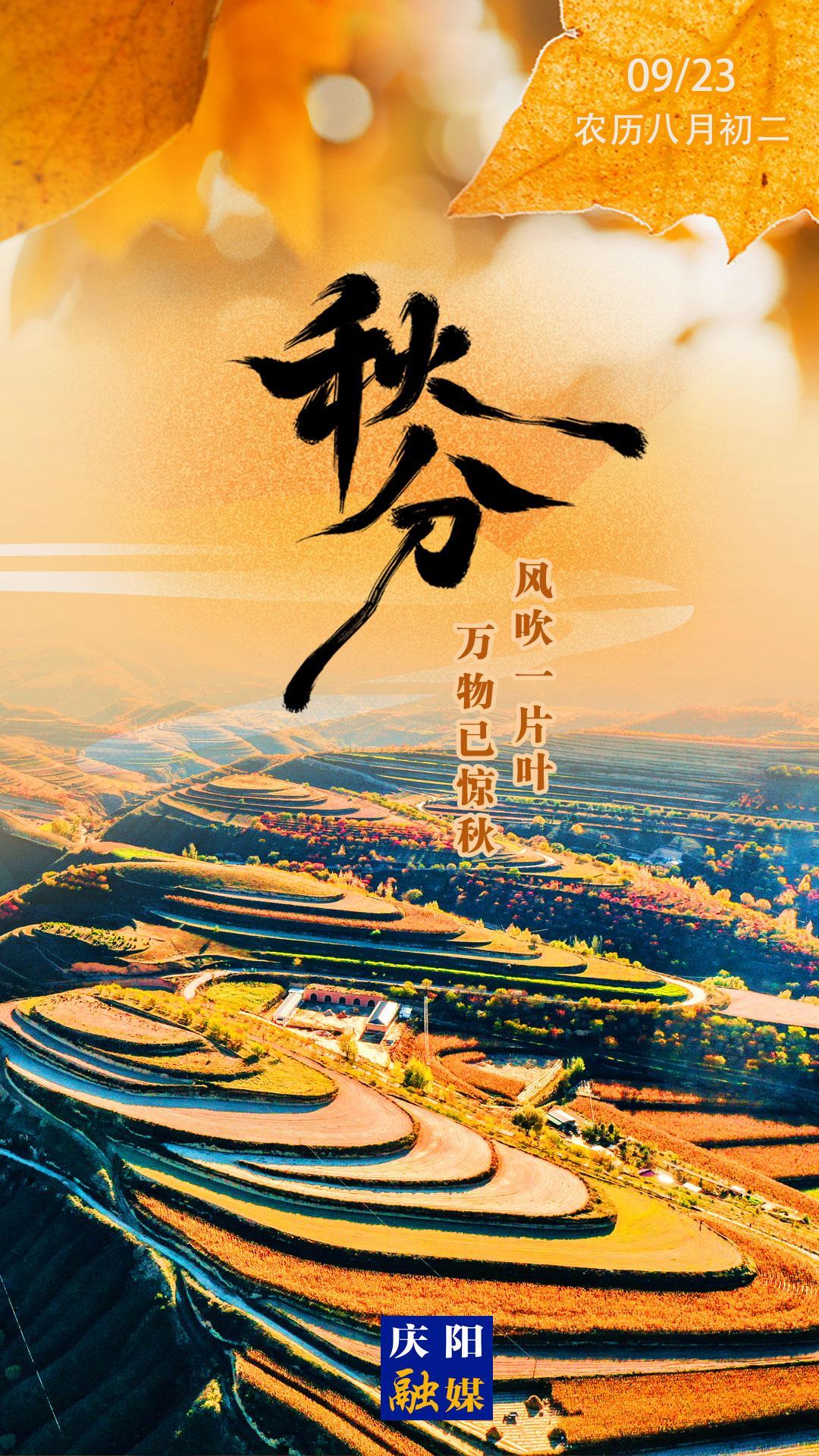 【微海報(bào)】秋分丨風(fēng)吹一片葉 萬(wàn)物已知秋