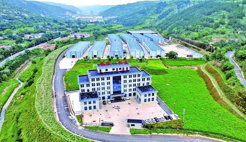 【2025甘肅·慶陽(yáng)岐黃文化論壇】隴東藥庫(kù)綻新枝 道地藥材富鄉(xiāng)民——華池縣中藥材產(chǎn)業(yè)發(fā)展綜述