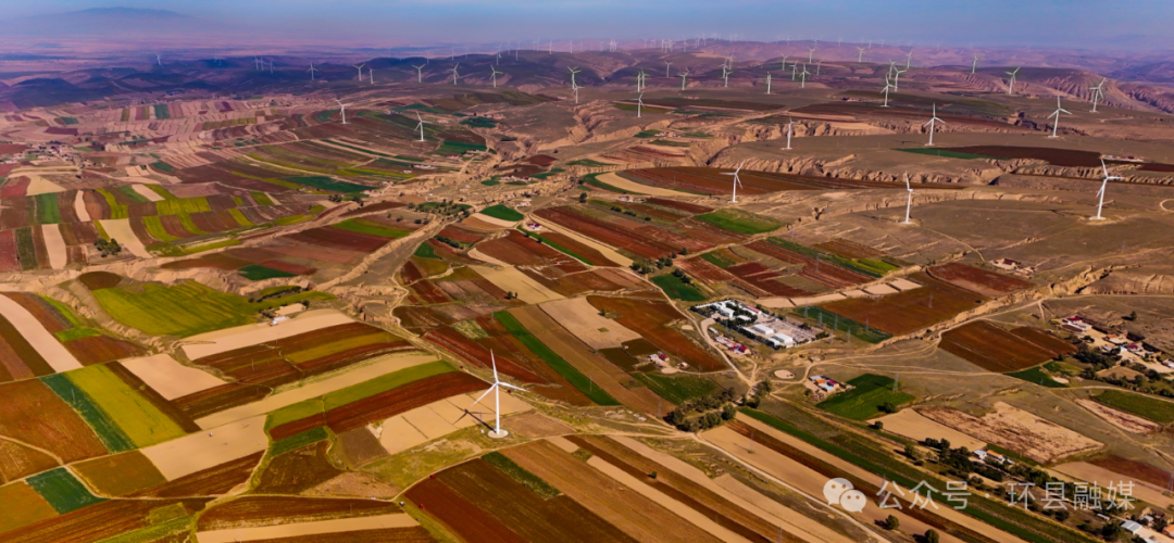 環(huán)縣50萬(wàn)畝小雜糧喜開鐮 田間奏響豐收曲