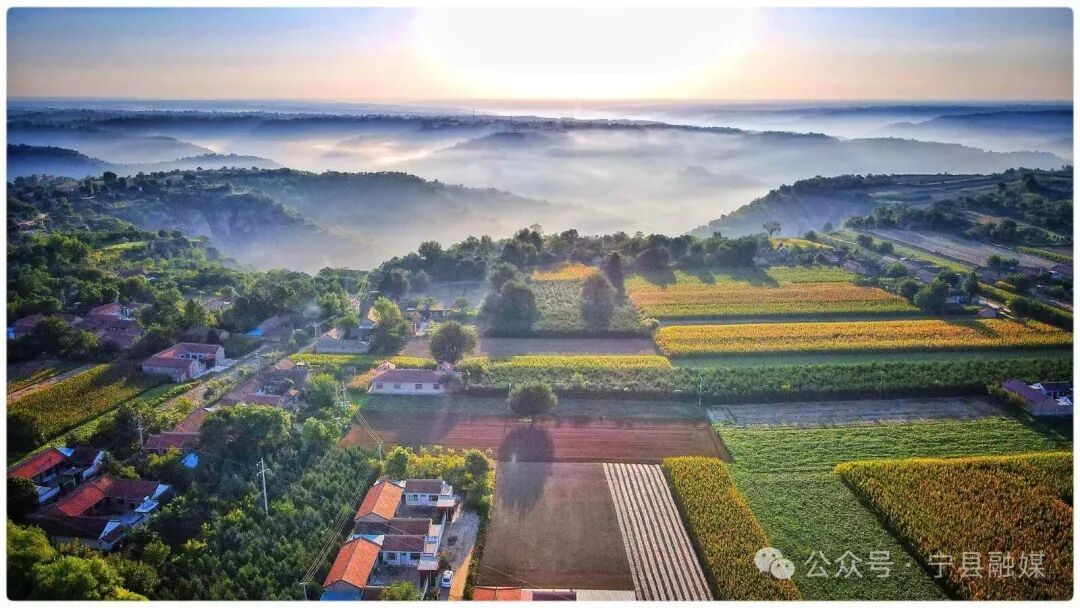 奮勇爭先 實干為要 ——寧縣以“三抓三促”行動賦能縣域經(jīng)濟高質(zhì)量發(fā)展