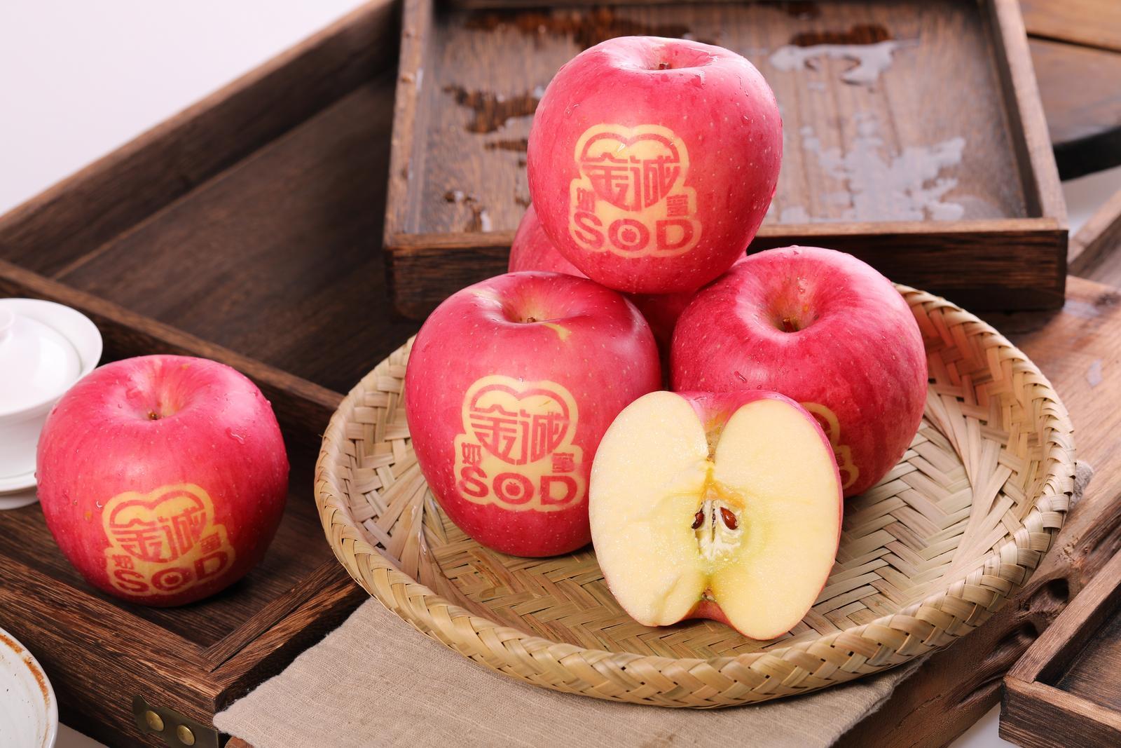 2025中國蘋果年會在慶陽丨慶城縣：三維發(fā)力筑根基 蘋果產(chǎn)業(yè)邁向高質(zhì)量發(fā)展新階段