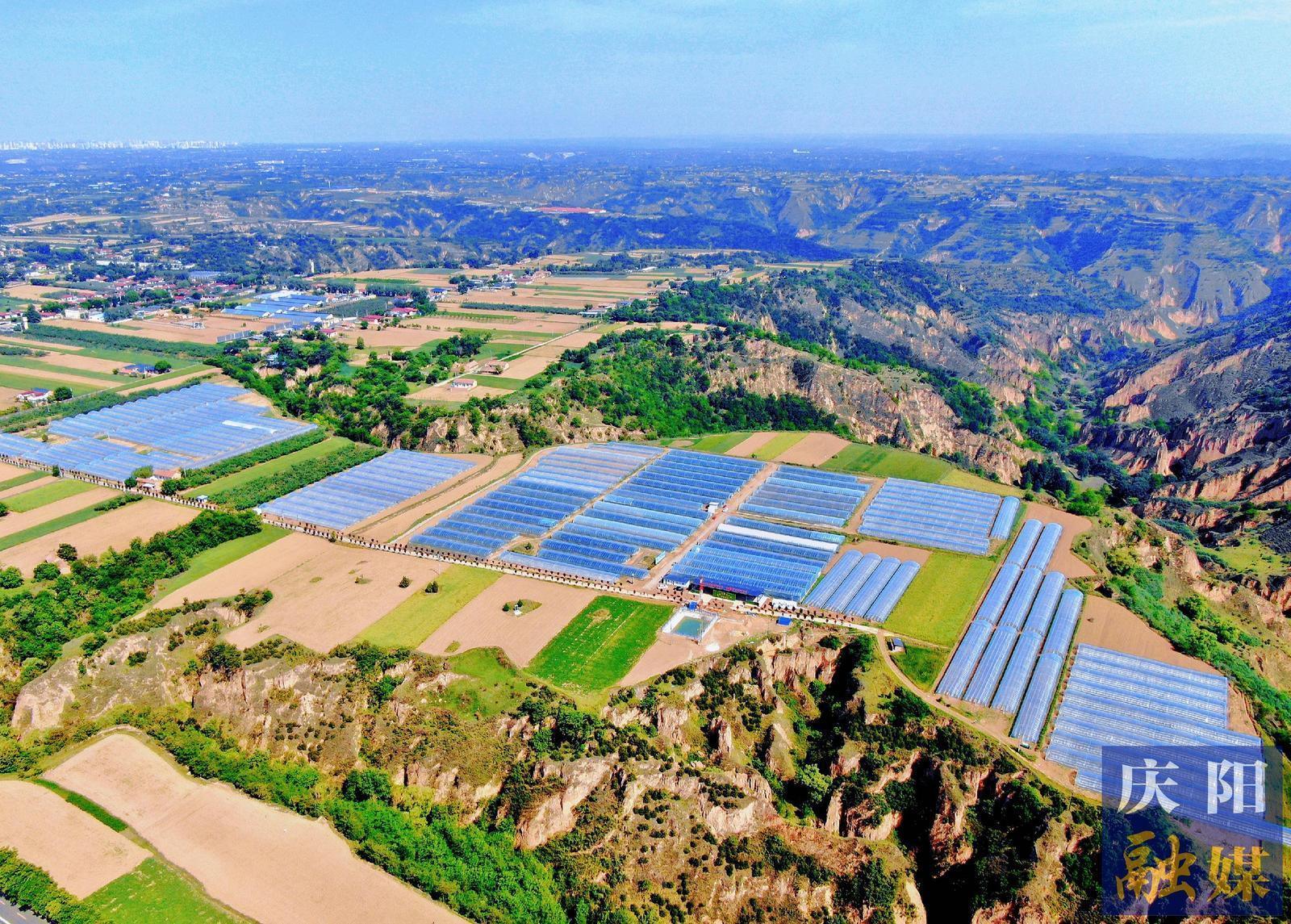 【城鄉(xiāng)文明創(chuàng)建】文明新風潤鄉(xiāng)土  富民強村正當時——西峰區(qū)什社鄉(xiāng)李嶺村創(chuàng)建全國文明村鎮(zhèn)工作綜述