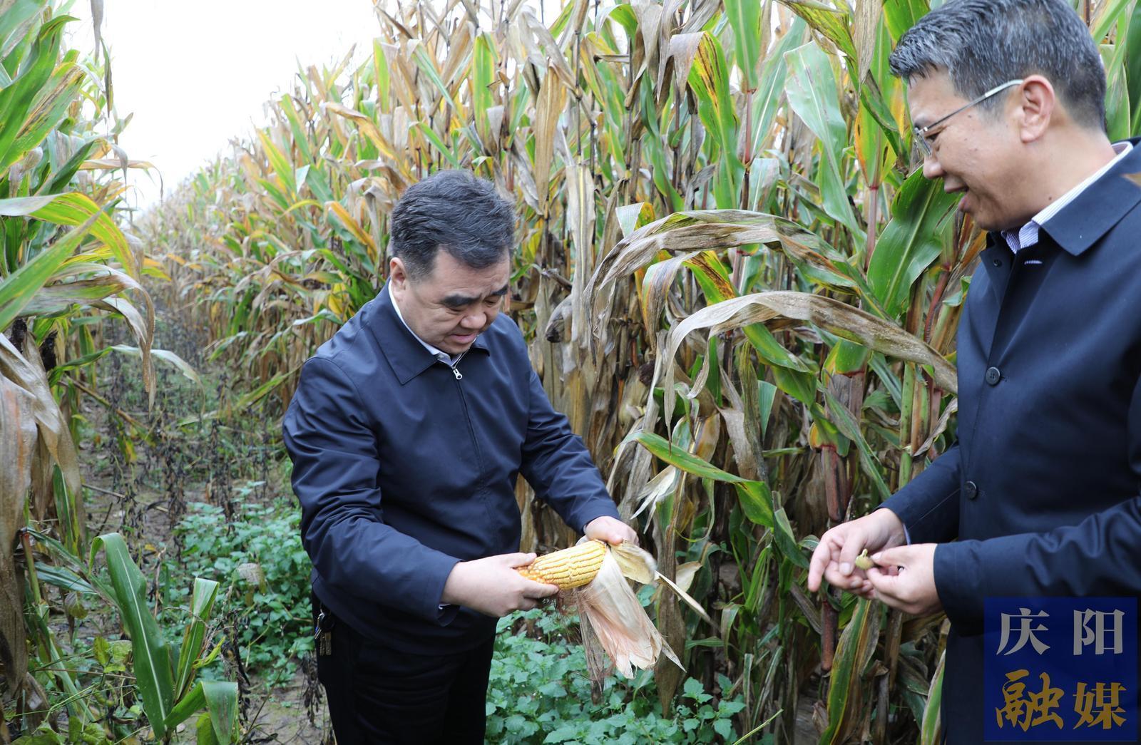 《慶陽新聞》2025年10月12日