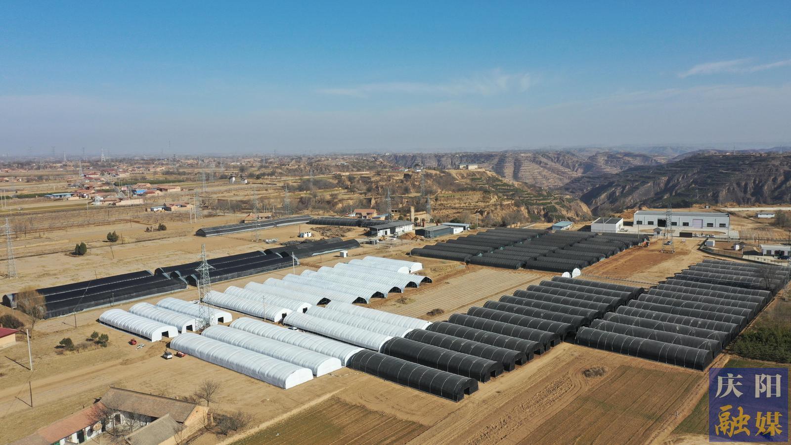 【城鄉(xiāng)文明創(chuàng)建】民主議事謀發(fā)展  移風(fēng)易俗譜新風(fēng)——慶城縣驛馬鎮(zhèn)東灘村創(chuàng)建全國(guó)文明村鎮(zhèn)工作綜述