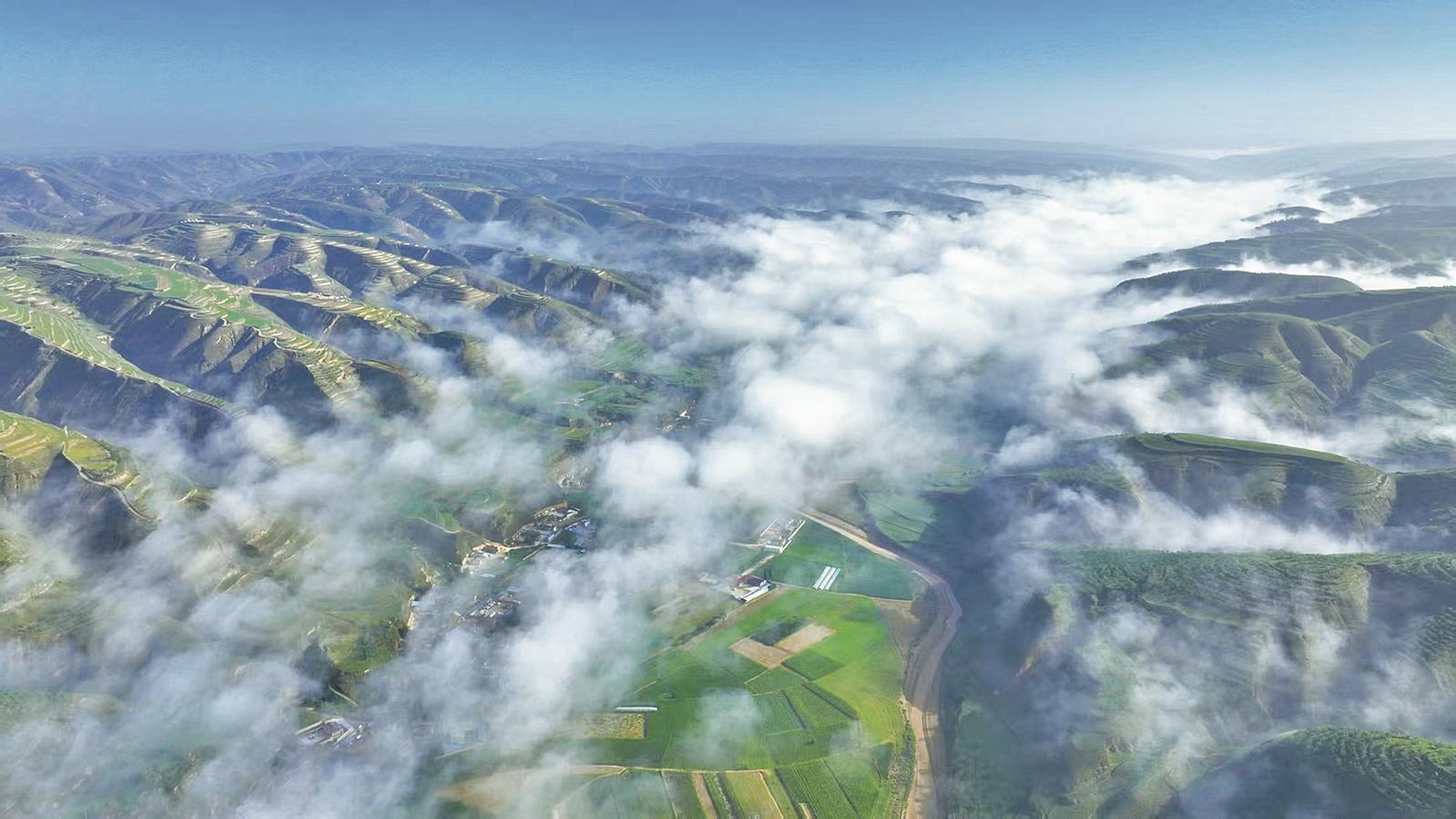 《隴東報(bào)》特刊·生態(tài)慶陽丨筑牢綠色發(fā)展根基 革命老區(qū)讓全國(guó)重點(diǎn)沙區(qū)縣綠滿青山