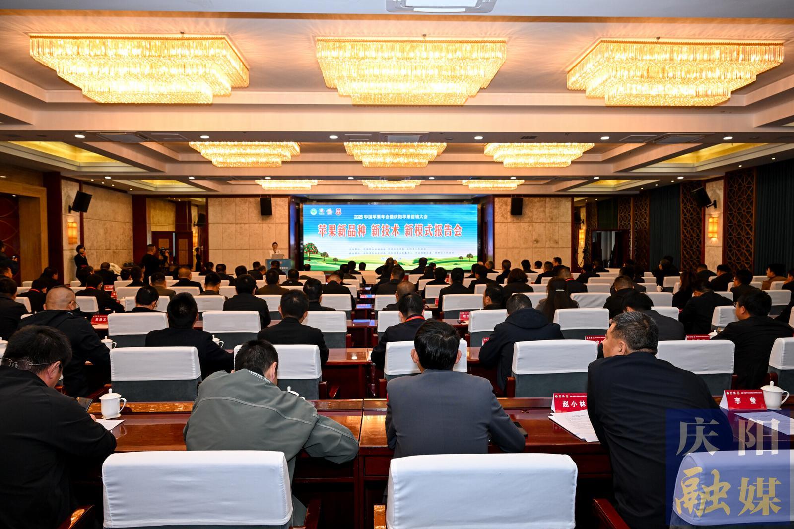 【慶陽福地 天賜瑞果】金秋論“果” 共繪慶陽蘋果產(chǎn)業(yè)新畫卷——蘋果新品種 新技術(shù) 新模式報告會側(cè)記