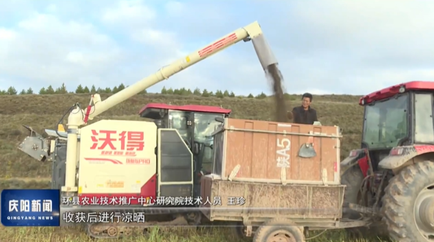 《慶陽新聞》2025年10月21日