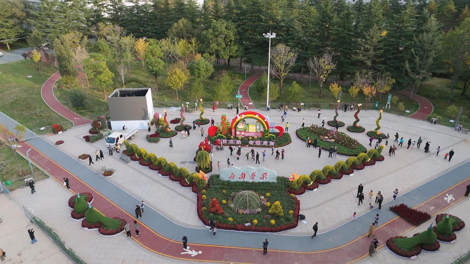 西峰區(qū)“菊韻金秋”菊花展打造市民沉浸式體驗(yàn)新場(chǎng)景